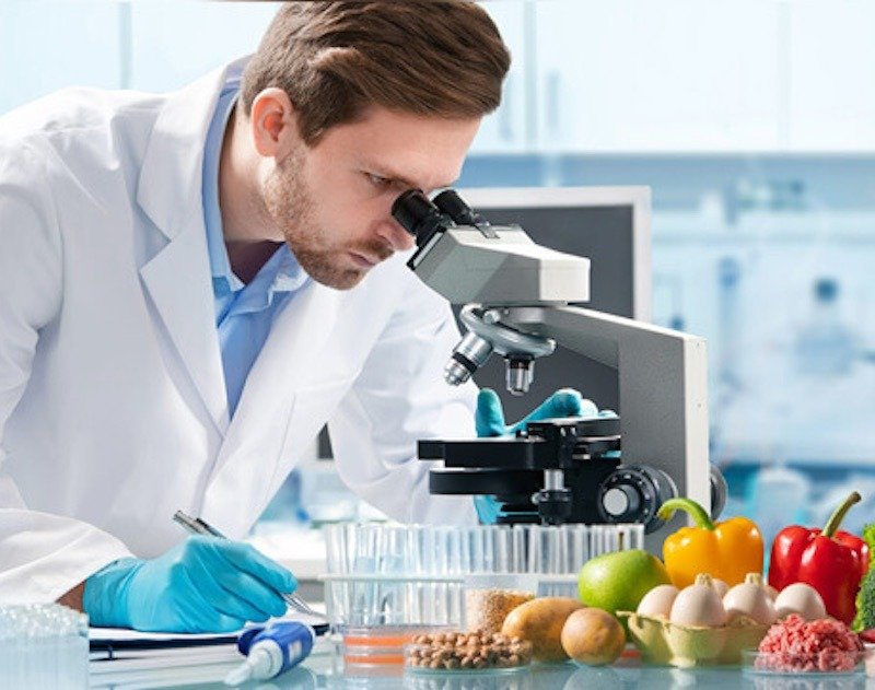 Dubai Municipality Food Safety Approval service